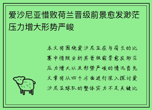 爱沙尼亚惜败荷兰晋级前景愈发渺茫压力增大形势严峻