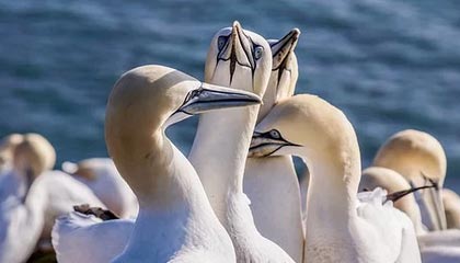 YY易游体育官网-完美配合：球队一体作战，夺得了令人瞩目的胜利！