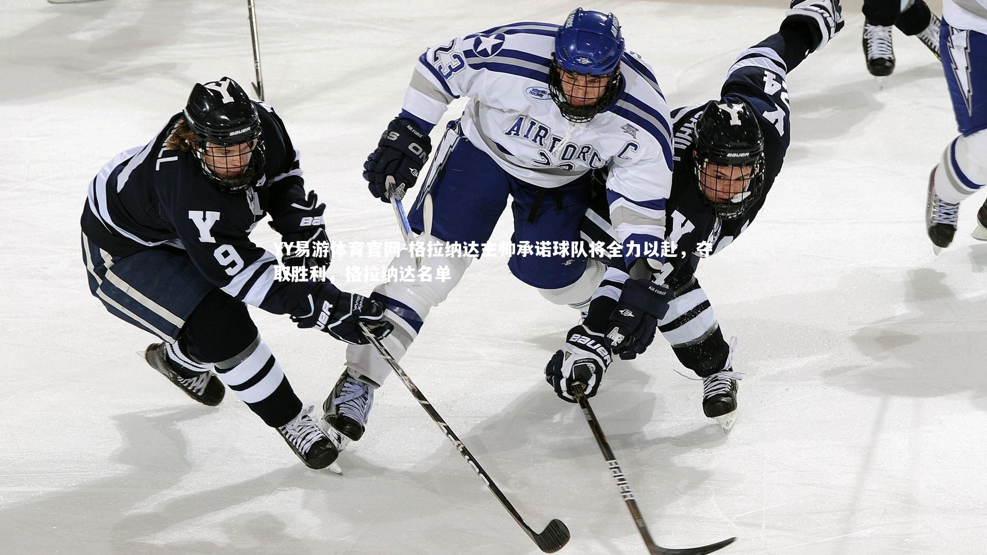 格拉纳达主帅承诺球队将全力以赴,夺取胜利,格拉纳达名单
